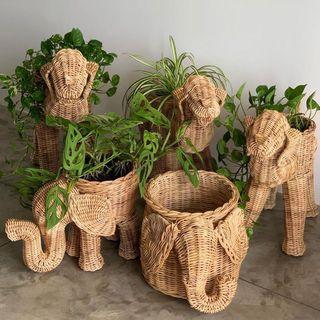 Native Planters Wicker Basket Planter Rattan Planter Basket Storage Plant Pots Plantita Plant Stand Rattan Animal Planter Rattan Planter Elephant Planter Dog Planter Animal Plant Stand