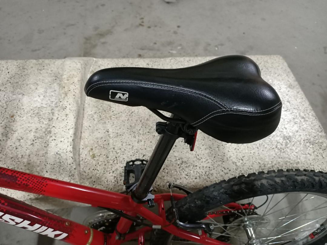 Nishiki pueblo 24 on sale mountain bike