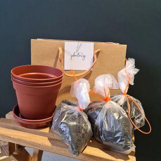 Pots + Potting soil Set