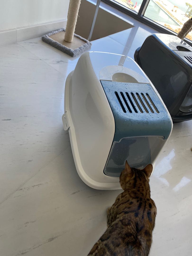Savic nestor litter box sales