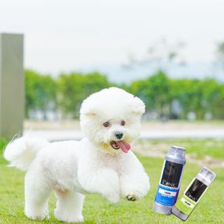 （分類：）位於 。 由 leeyoko 提交（商品編號 1020215252，圖片 1）。簡介： 。