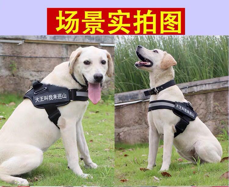 Used dog harness Clearance