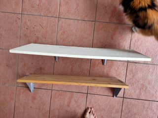 (Category: ) located in . Submitted by nathashadiyana_ (Listing ID 1020387661, Image 1). Description: .