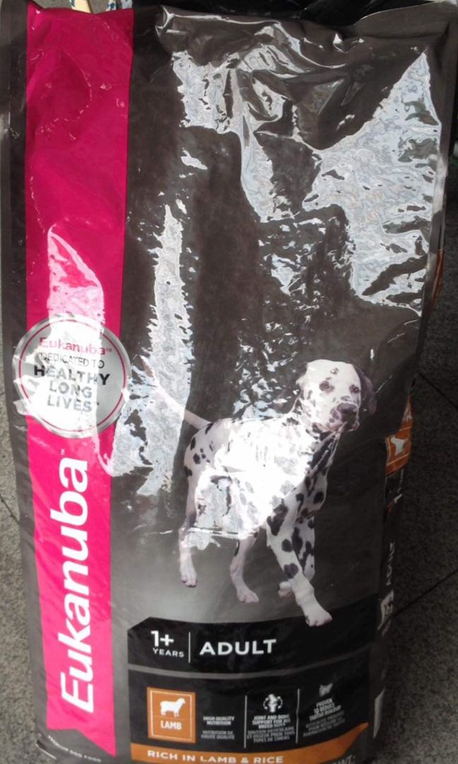 eukanuba everyday small & medium 18 kg