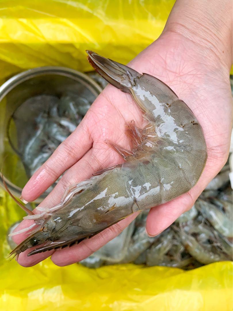 Fresh Shrimp 22grams each (Category: Fresh Produce) located in Valenzuela. Submitted by lablancos (Listing ID 1020432501, Image 2). Description: 📣Good news Shrimpaholics! 🦐We will be having a weekend sale!! Fresh and Quality harvested shrimps from GENERAL SANTOS CITY ➡️ MANILA ✈️ 💯❤️🦐🦐🦐 ‼️PAYMENT OPTIONS: BDO / GCASH / PAYMAYA 📌please be advised that this is PRE-ORDER : STRICTLY NO CANCELLATIONS OF ORDERS. 📌We're open for Retail, wholesal