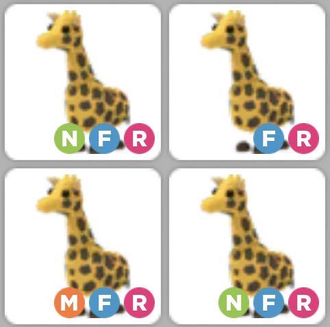 Giraffe Adopt Me Roblox Toys Games Video Gaming In Game Products On Carousell - giraffe roblox