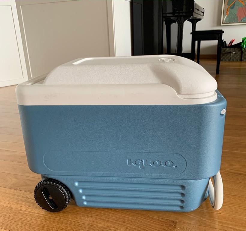 igloo 40qt