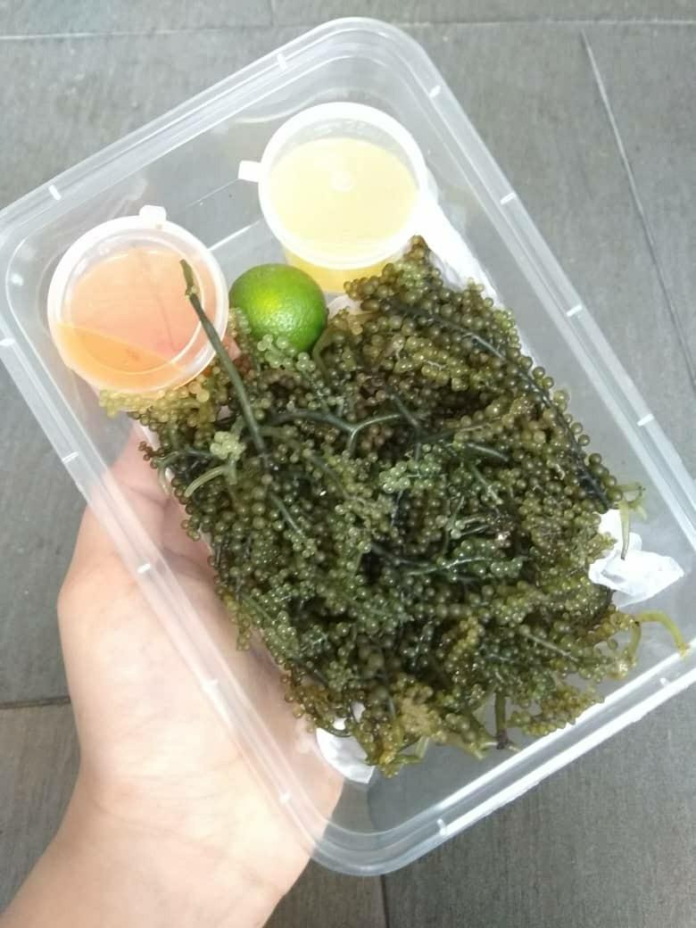 Latok Sabah Food Drinks Local Delights Halal Local Delights Others On Carousell