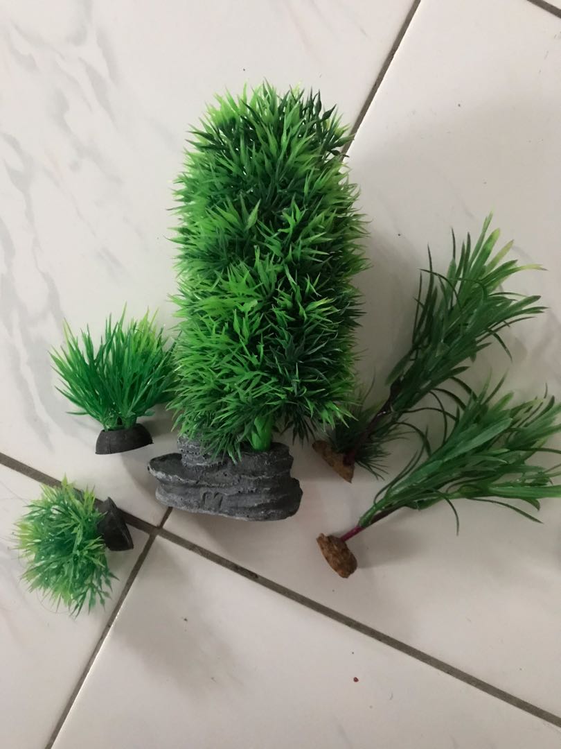 Pokok hiasan plastik untuk aquarium, Pet Supplies, Homes & Other Pet