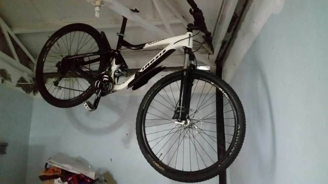 kinesis downhill bike
