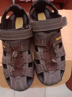 larrie shoes wikipedia