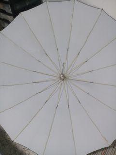 Umbrella large