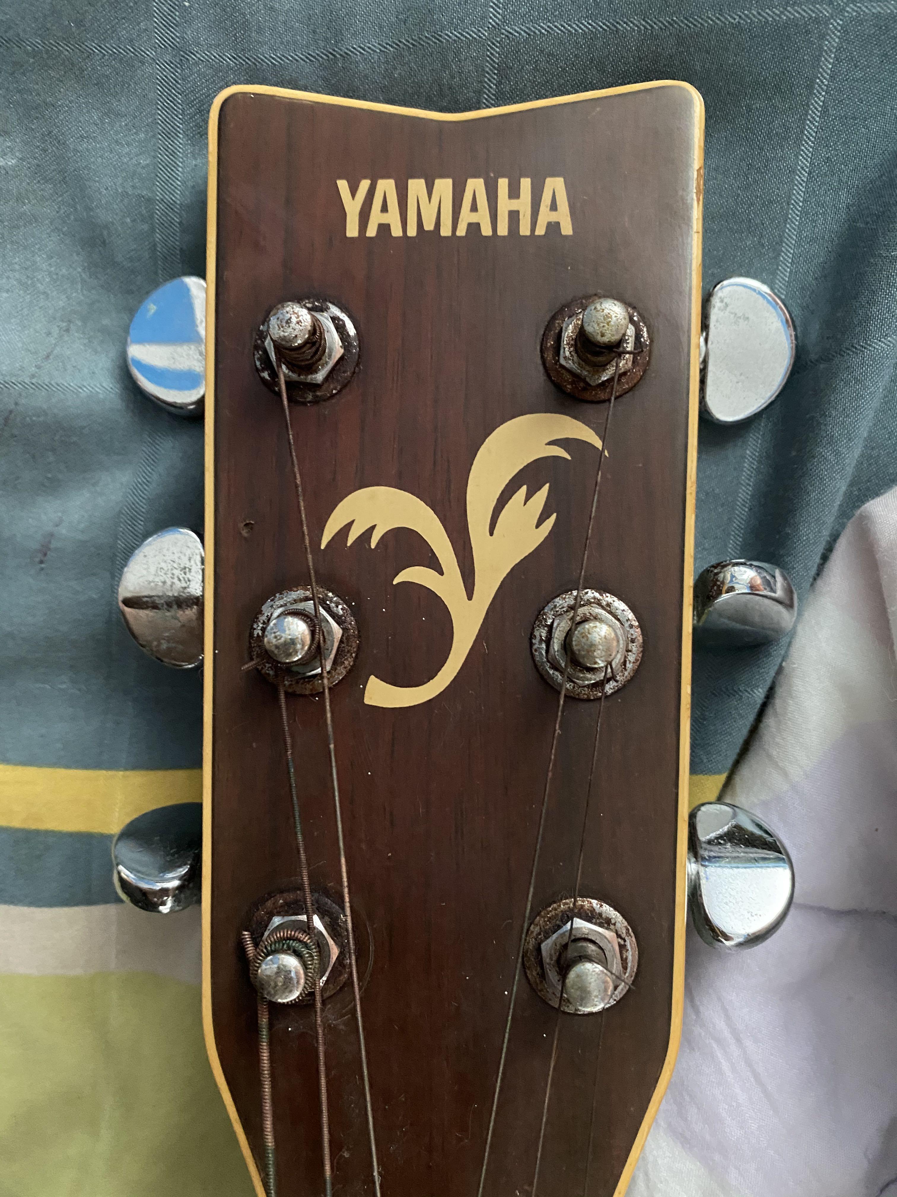 Yamaha FG441 Acoustic Guitar Hobbies Toys Music Media