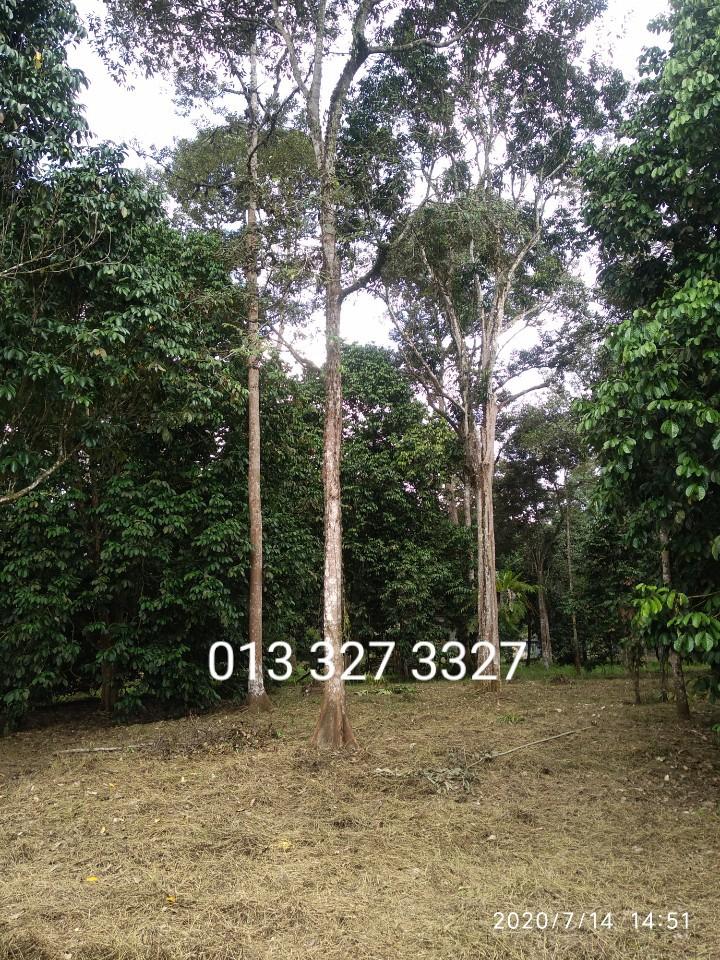Dusun Durian 3 Ekar Sg Lui Hulu Langat Rata Cantik Ada Sungai Property For Sale On Carousell