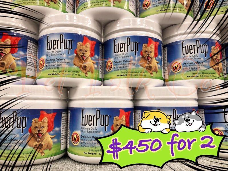 Everpup clearance