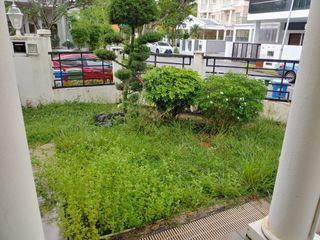 Grass & Trees Cutting Specialist