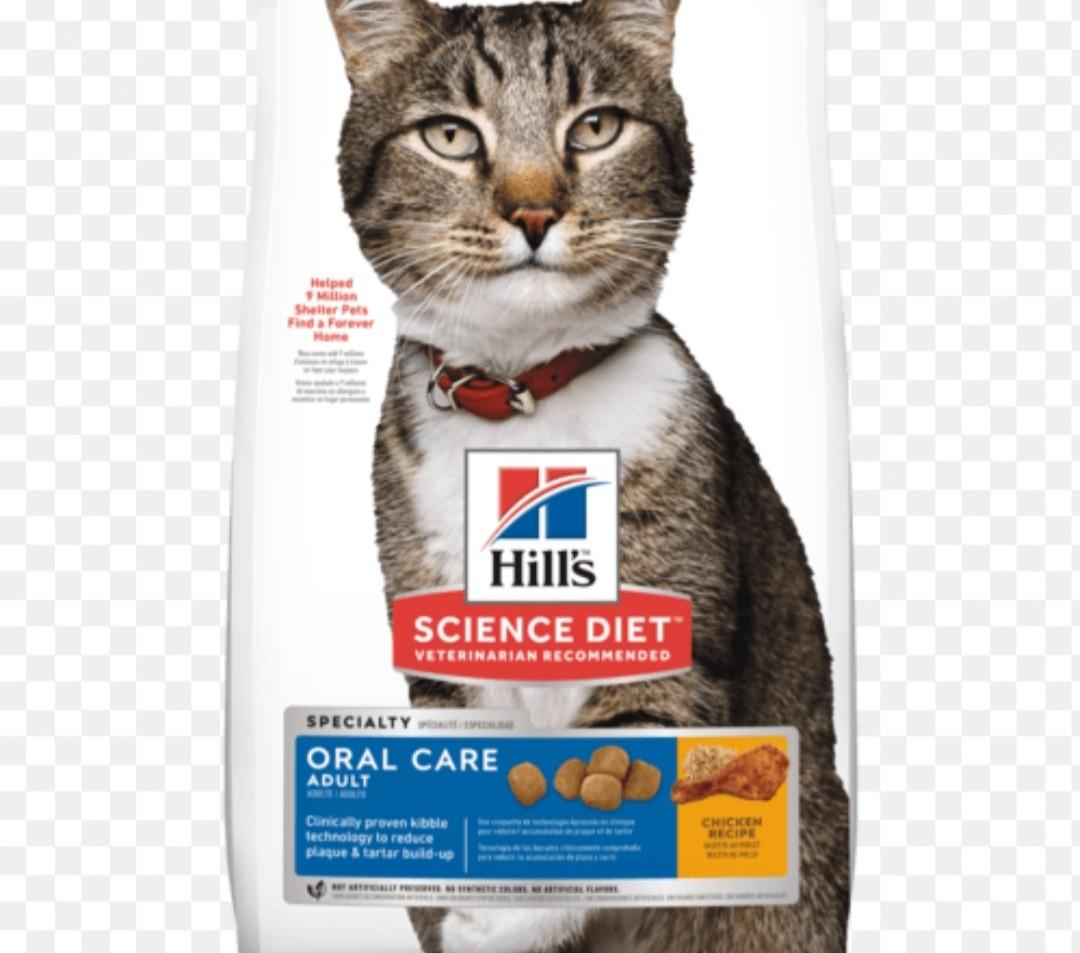 hills science plan cat food 10kg