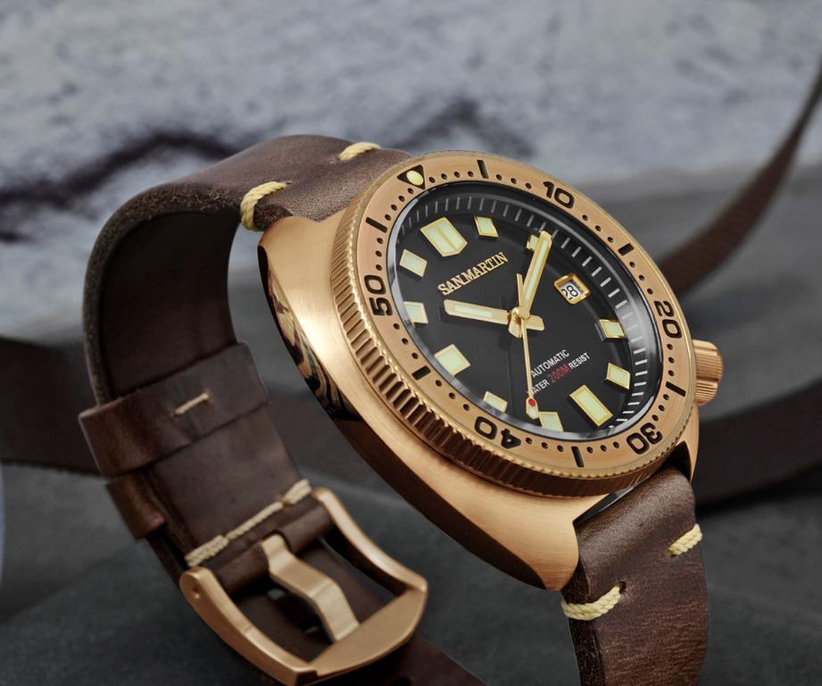 San martin 2025 bronze turtle 6105