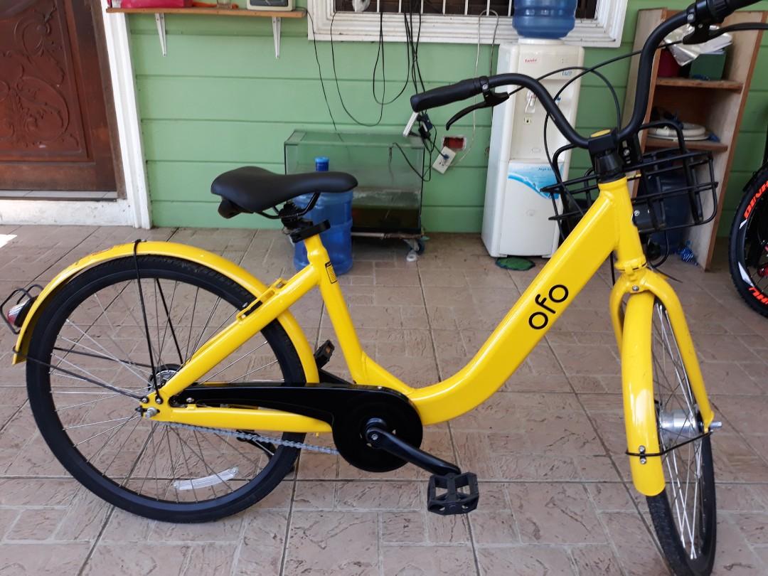 ofo contact