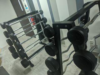 Priced to clear! Commercial Barbells- Full Set with rack (Straight & E-Z Curl) *E-Z Curl sold