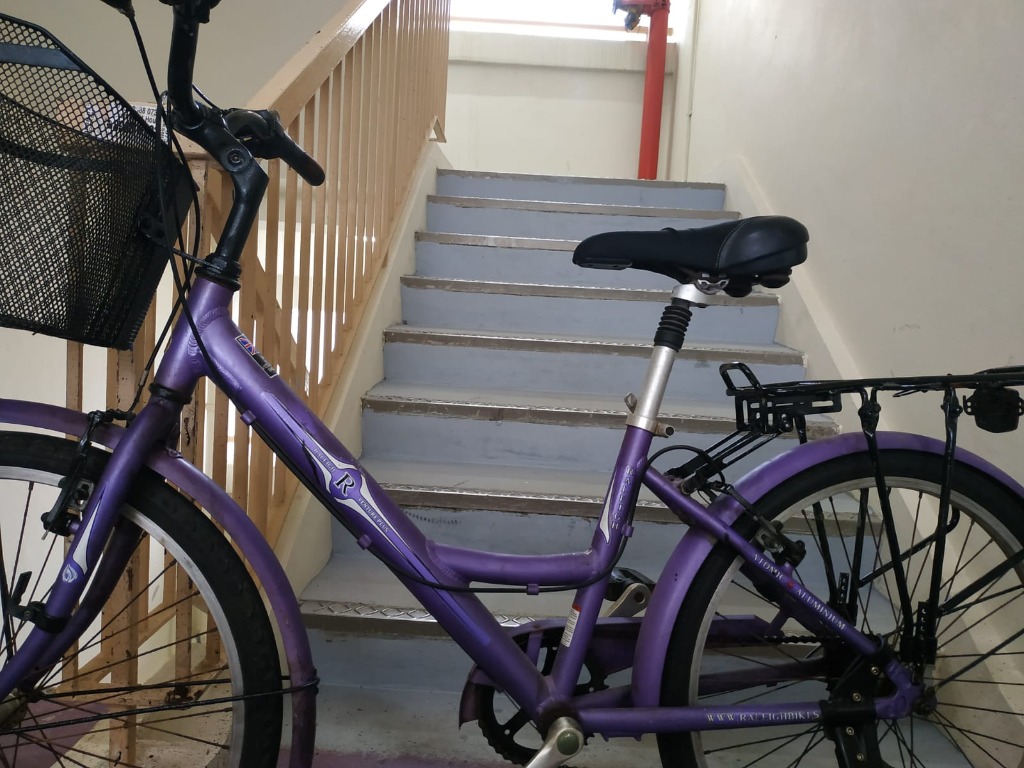 raleigh lady bike