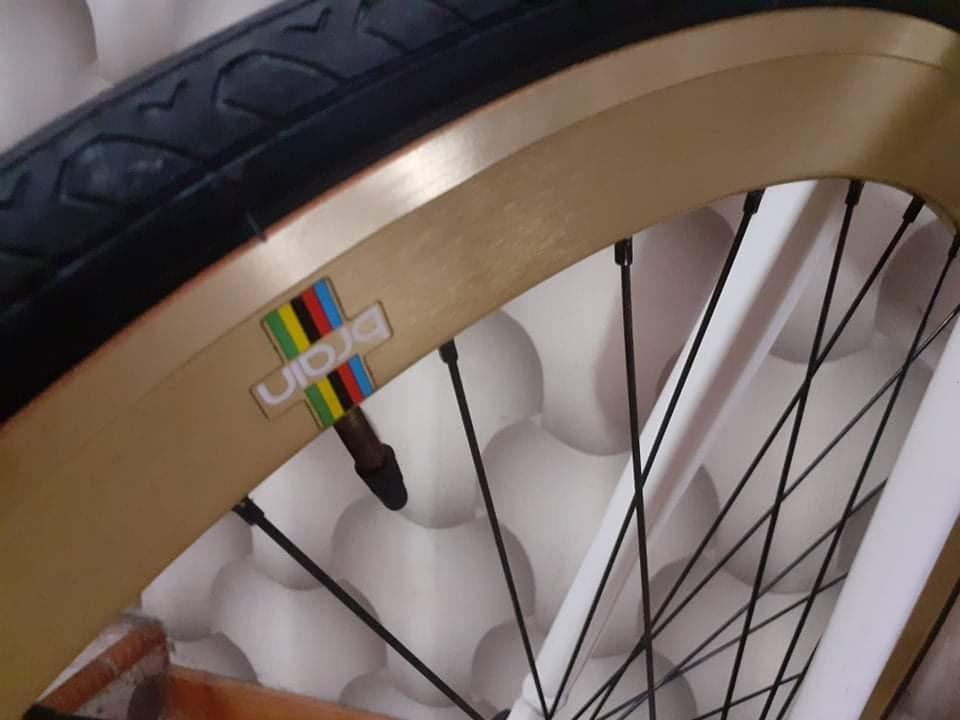 Fixie brain konig online