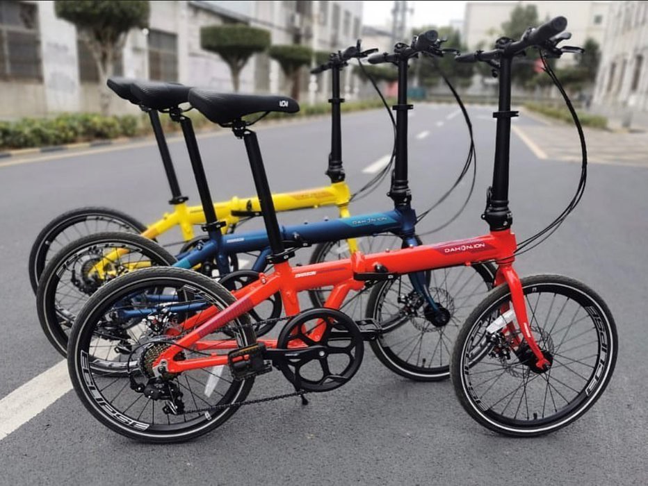 dahon ion