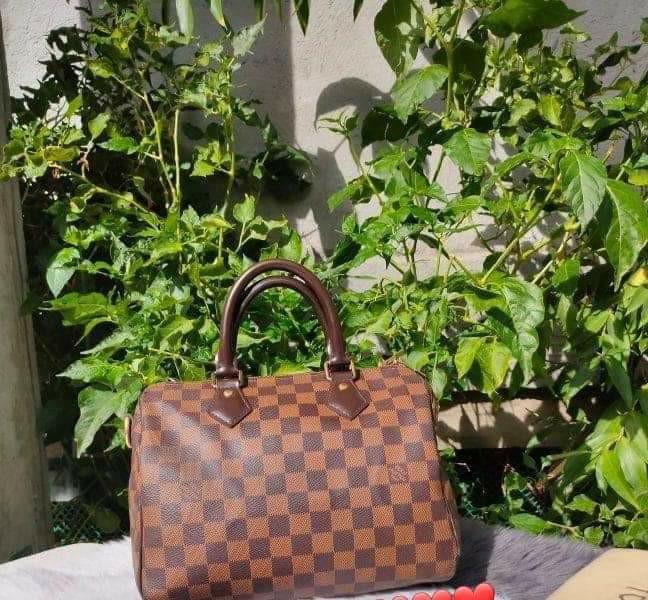 Louis Vuitton Speedy 25 Bando, Luxury, Bags & Wallets on Carousell