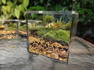 （分類：）位於 。 由 mossimossihk 提交（商品編號 1020711132，圖片 1）。簡介： 。