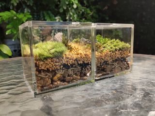 （分類：）位於 。 由 mossimossihk 提交（商品編號 1020711533，圖片 1）。簡介： 。