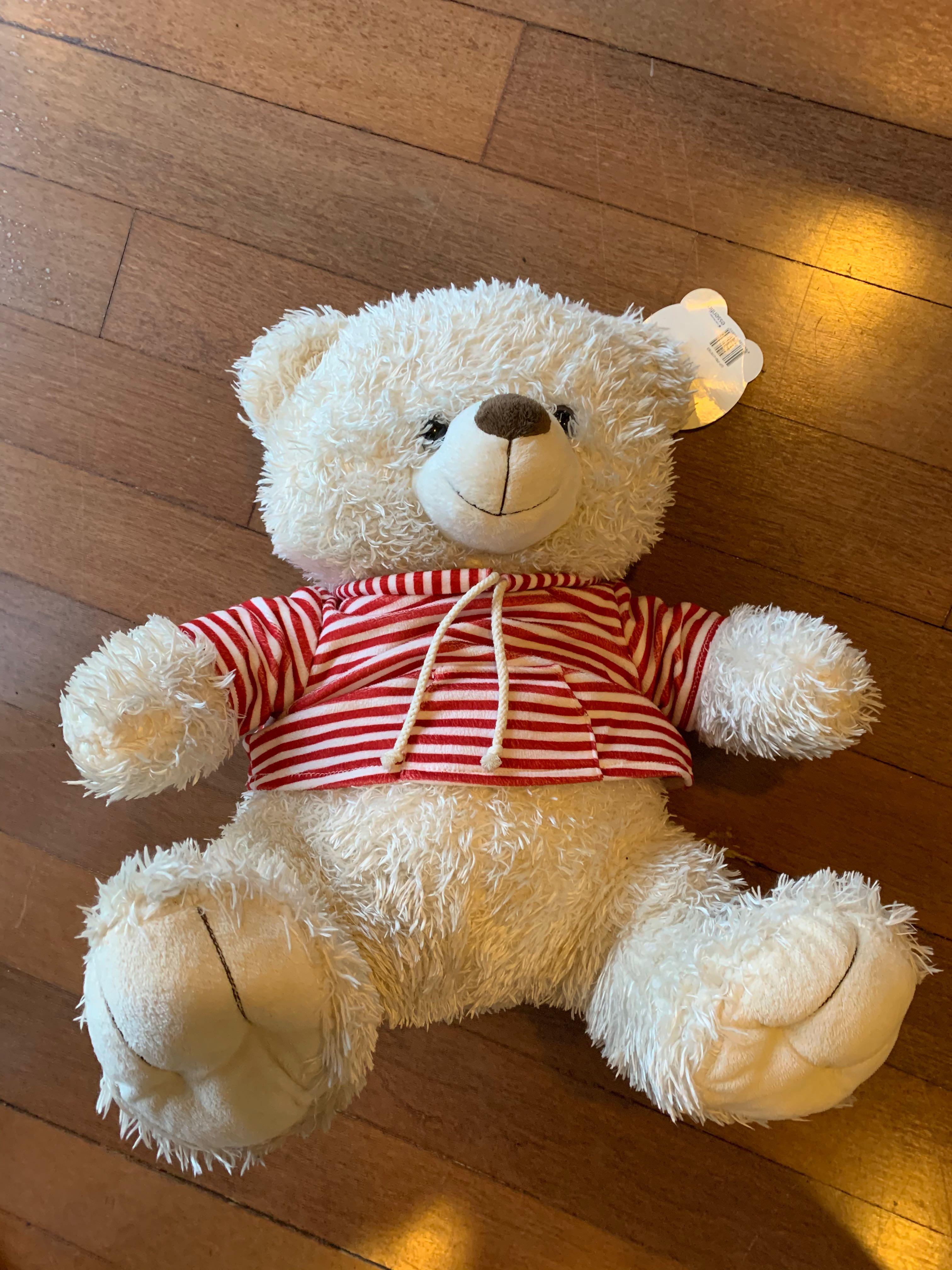 money bear stuffed animal