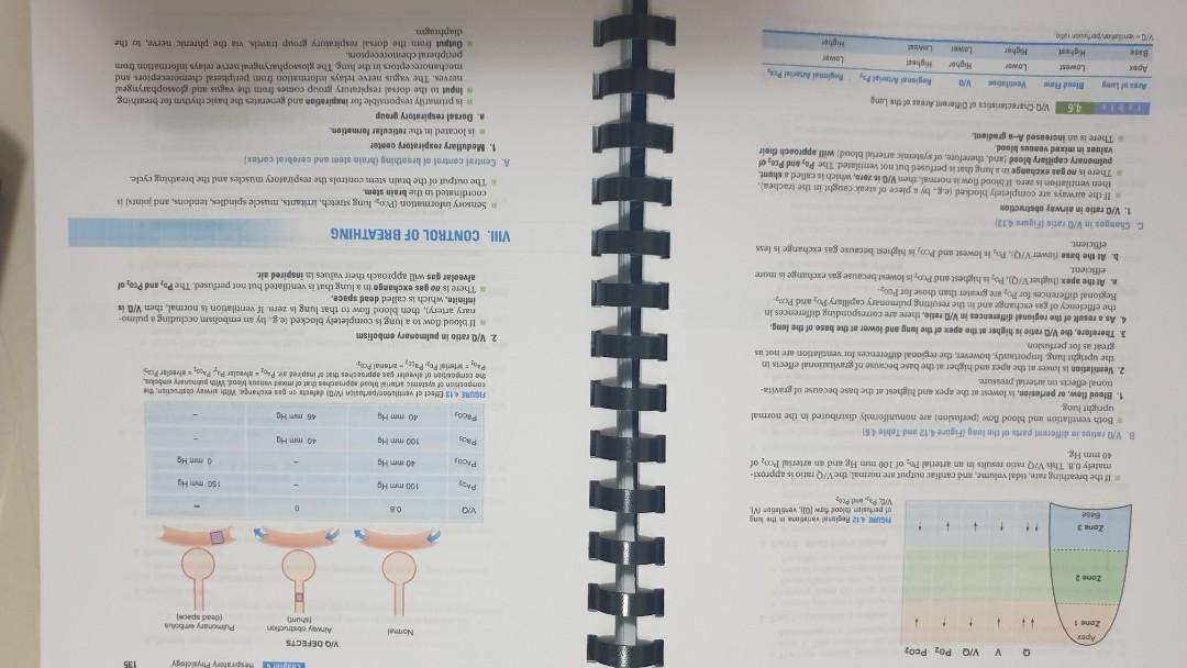 BRS Physiology 6th Ed (Category: Textbooks) located in Cebu City. Submitted by zoessecretcloset (Listing ID 1020939104, Image 2). Description: Brand New Full color with green cover.