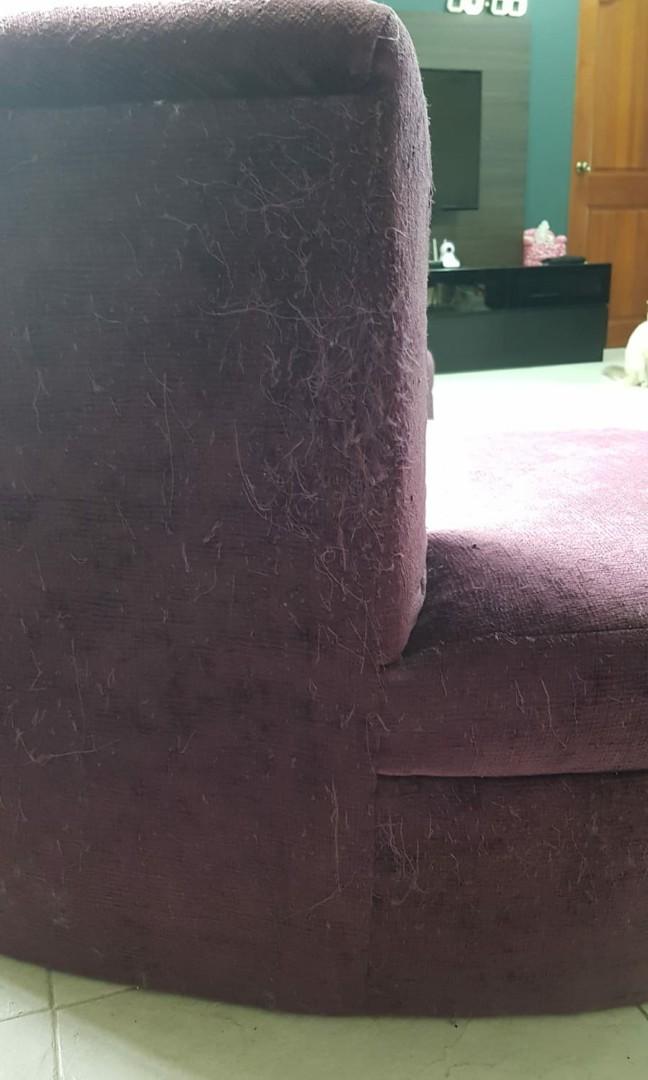 Designer sofa (Category: Sofas) located in Singapore. Submitted by flamingpink (Listing ID 1020911621, Image 3). Description: Designer sofa. Foam, seat & backrest are still in good condition as we usually cover it with a fleece blanket. Except the back are being scratched by our pet cats as seen in the picture. Letting go cheap before there's more damaged done by our cats. Please arrange your own transport..