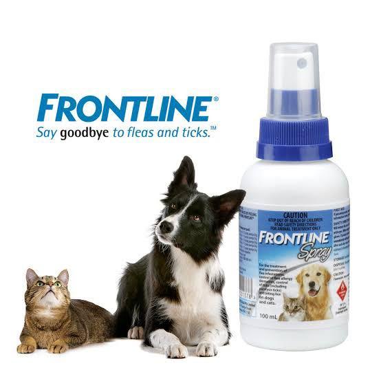 Frontline Spray Dog Cat 100ml Pets Supplies Pet Accessories On Carousell