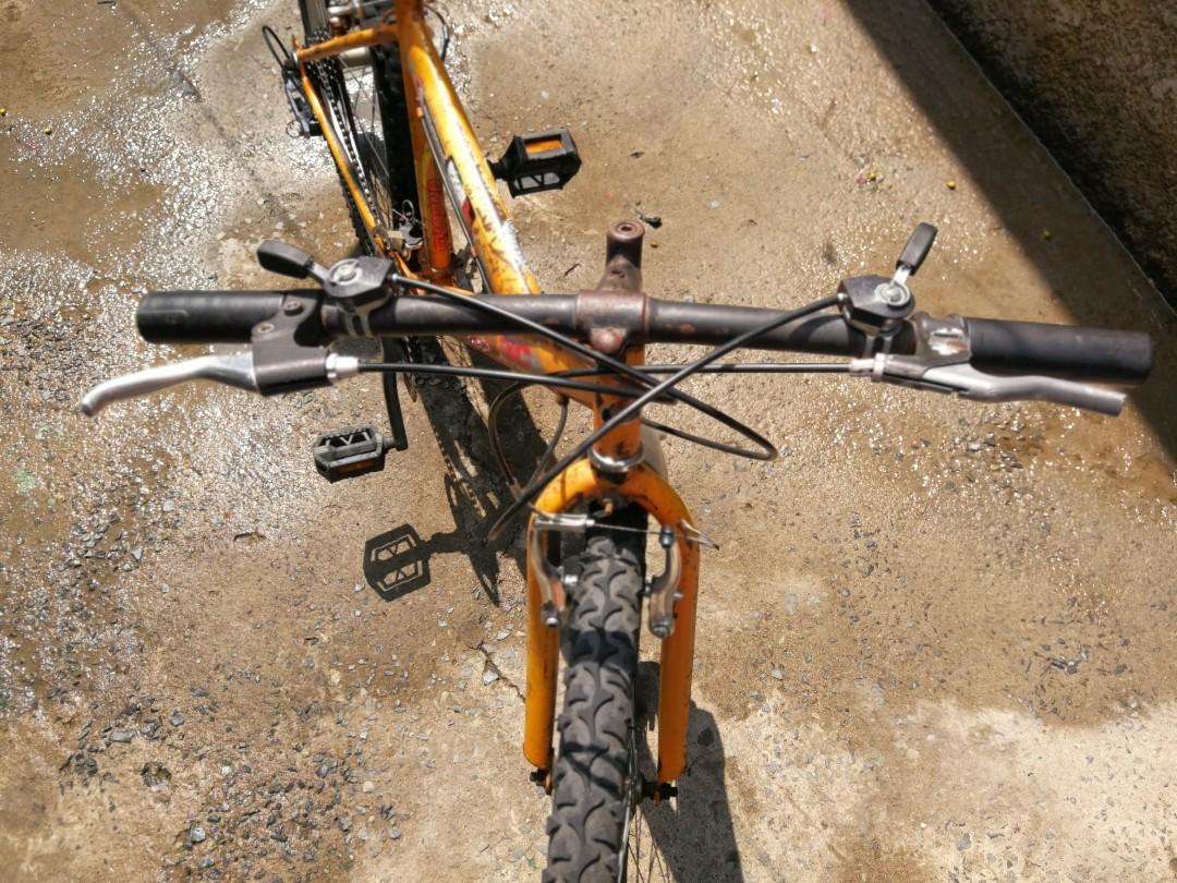 mtb pacific carbon