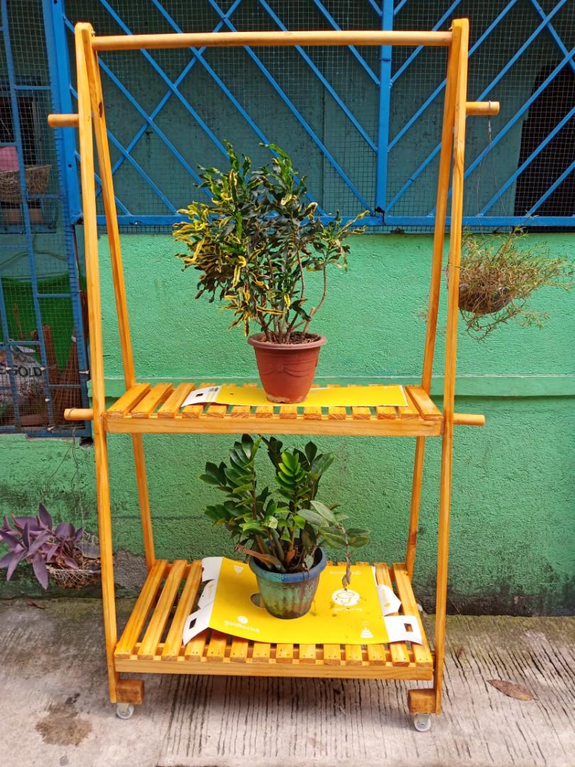 Plant Rack Price Varies Gardening Flowers Plants On Carousell