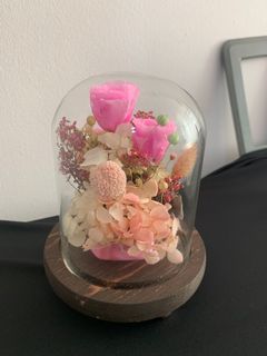 (Category: ) located in . Submitted by doris_florist (Listing ID 1020918548, Image 1). Description: .