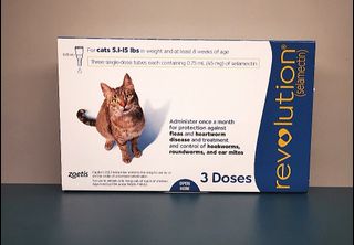 (Category: ) located in . Submitted by fattycatstud (Listing ID 1021017401, Image 1). Description: .