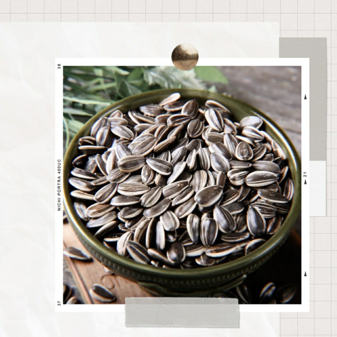 Sunflower Seeds (Small), Pet Supplies, Pet Food on Carousell