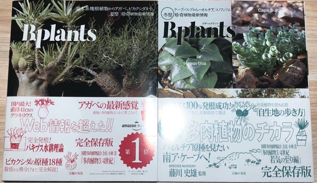 Bplants 夏型 冬型多肉植物塊根植物發根 書本 文具 雜誌及其他 Carousell