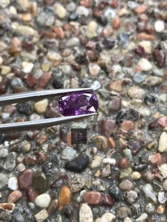 (Category: ) located in . Submitted by tsc_gems (Listing ID 1021272392, Image 1). Description: .
