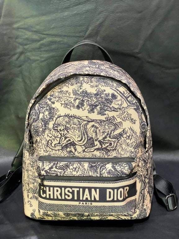 Dior backpack sale online