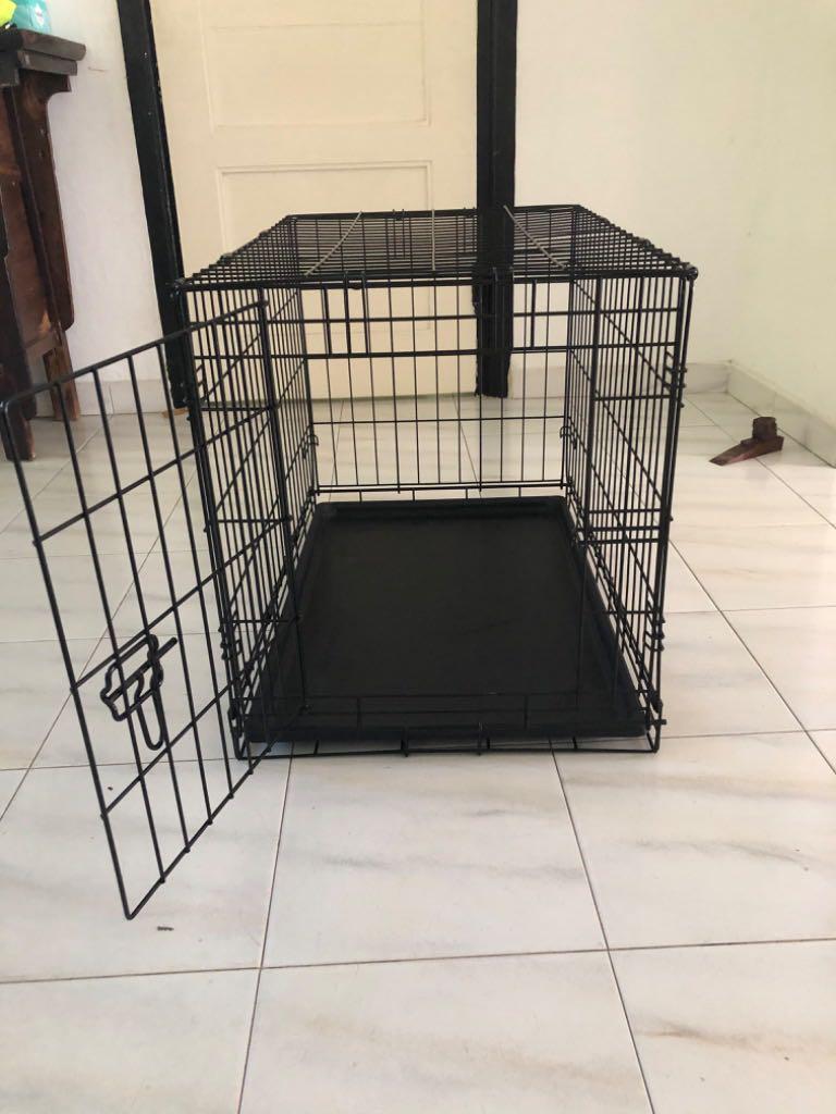 How Do You Disinfect A Used Dog Crate