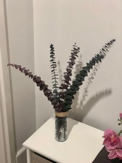(Category: ) located in . Submitted by supplementary (Listing ID 1021283301, Image 1). Description: .