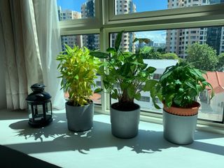 (Category: ) located in . Submitted by qhzhou (Listing ID 1021087598, Image 1). Description: .