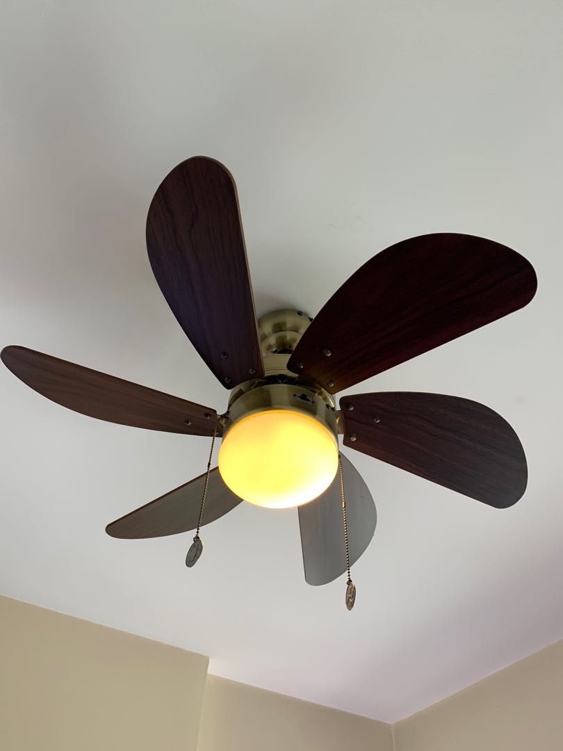 Westinghouse Ceiling Fans Westinghouse Petite 30 In White Indoor