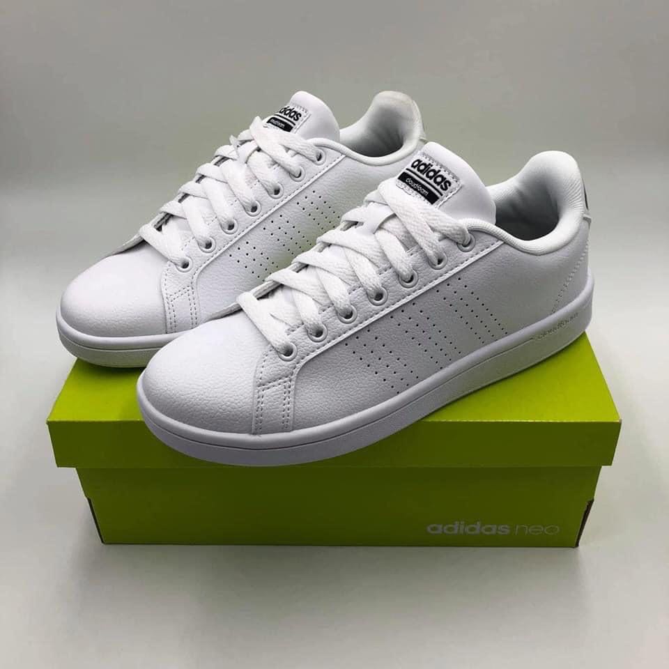 white adidas neo