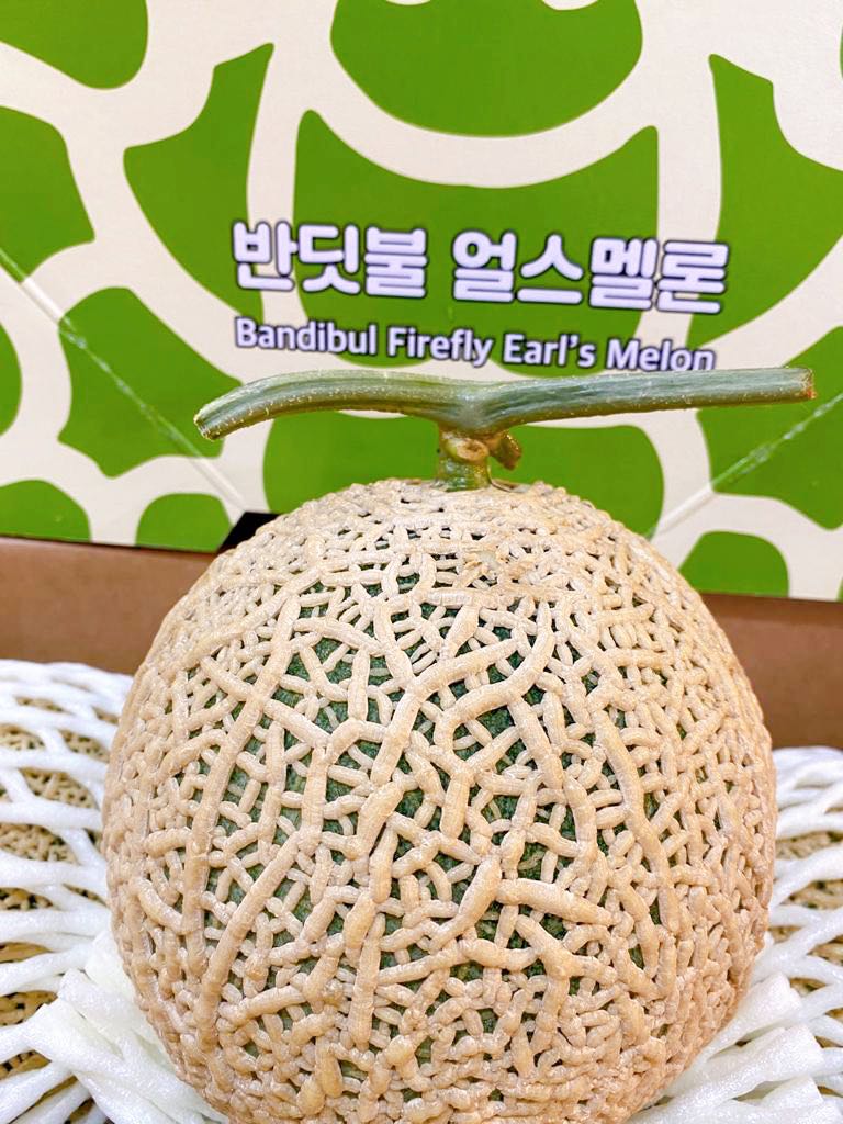 Korean Melon Food Drinks Packaged Instant Food On Carousell