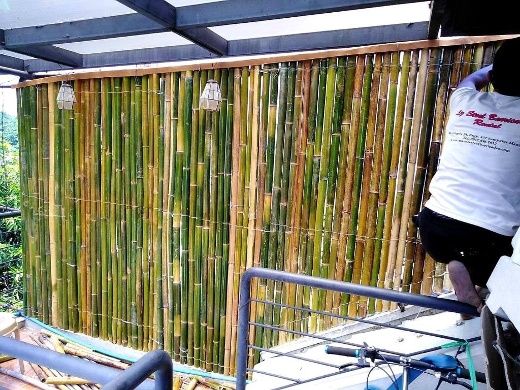 Natural Bamboo Fence W Pest Treatment And Polyurethane Top Coat Supply And Installation Commercial Industrial Construction Building Materials On Carousell