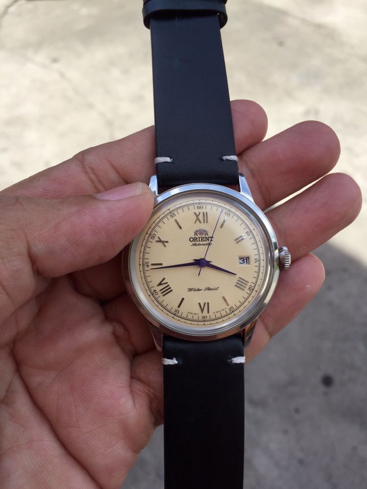 orient bambino watch straps